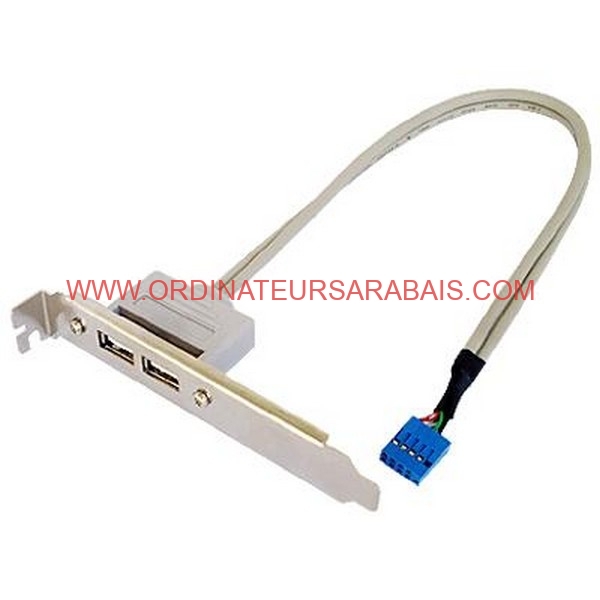 Prise-USB-Double-sur-IO-Slot-4