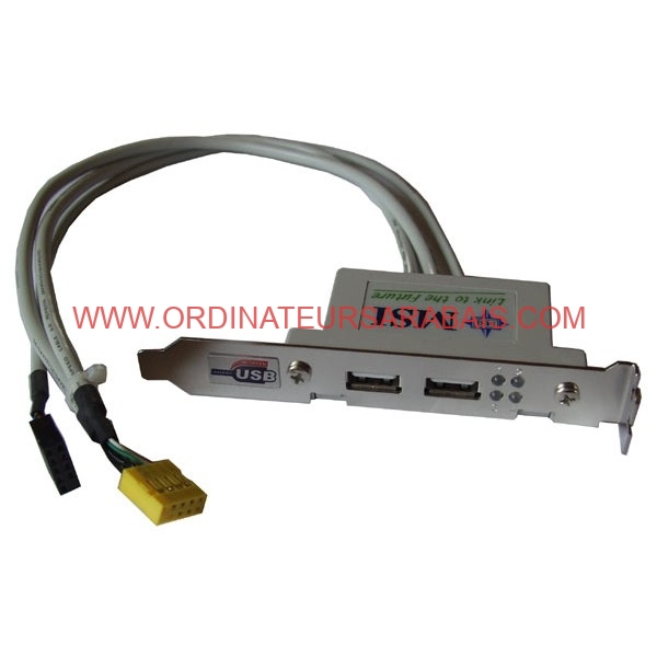 Prise-USB-Double-sur-IO-Slot-MSI-2