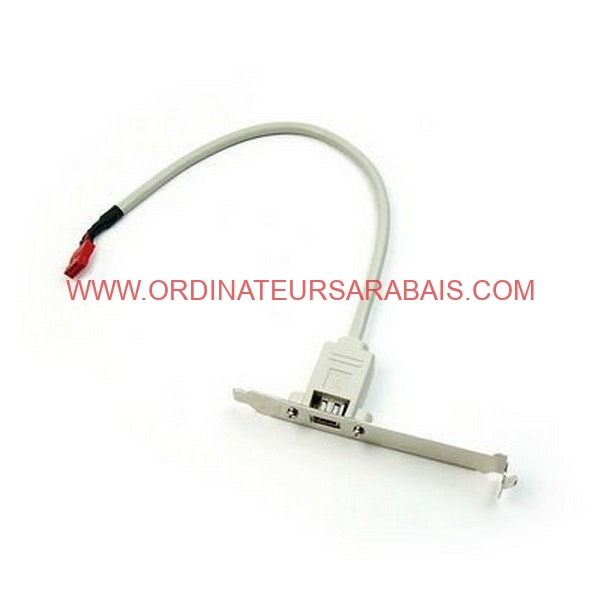 Prise-Firewire-sur-IO-Slot-2