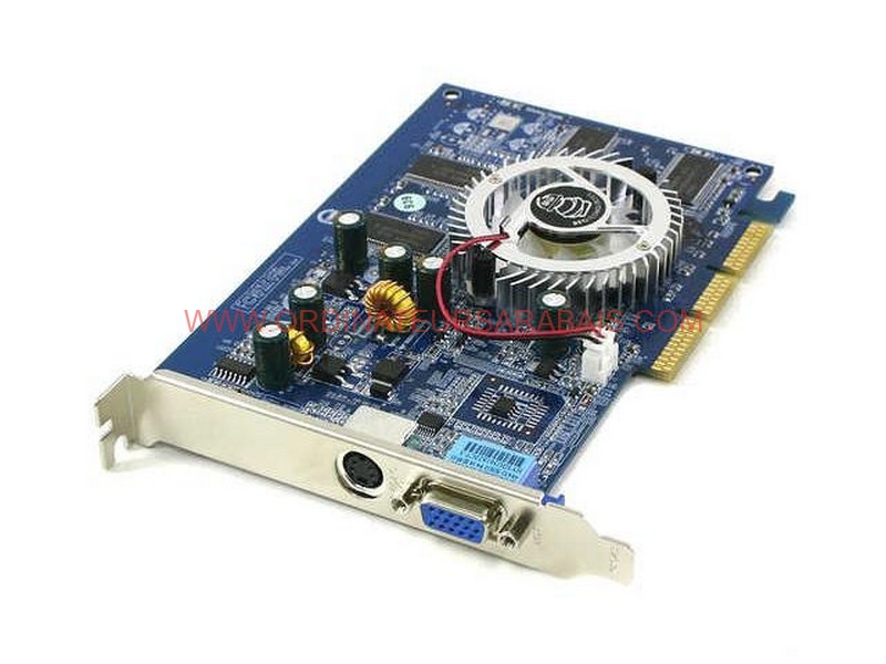 GeForce FX 5500 GeForce FX 5500
